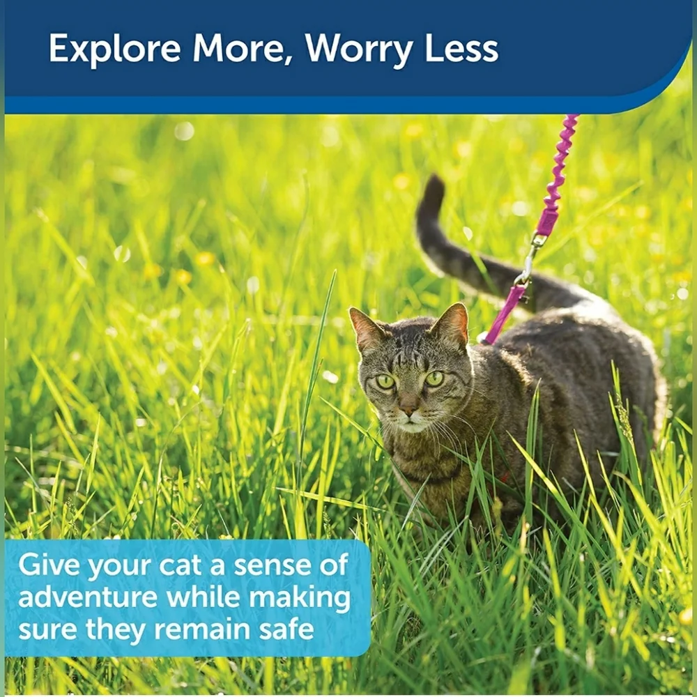 🐾💗Pink Cat & Small Dog Harness&Leash • Pet Safe 